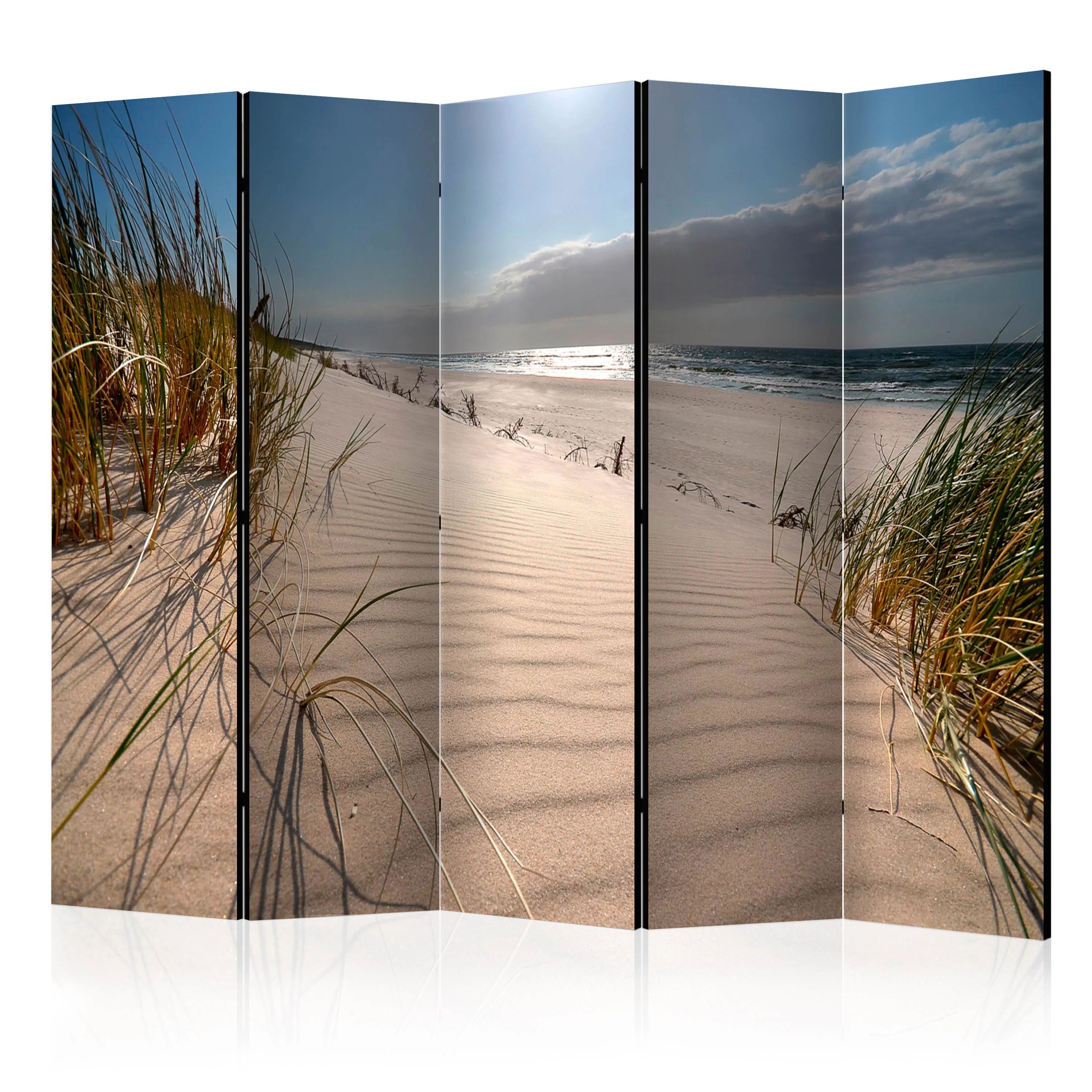 Rumsavdelare Arkiio Beach in Mrzezyno II 225x172 cm