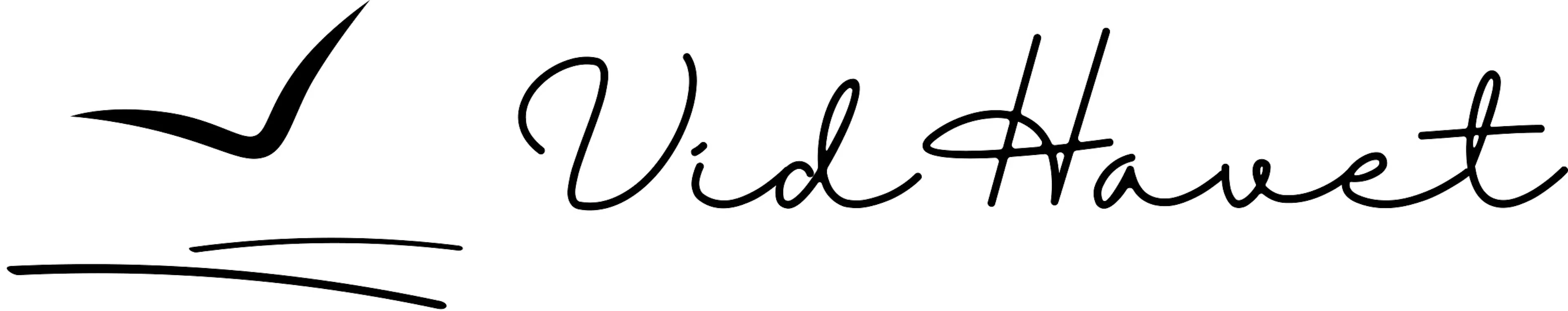 VidHavet logo