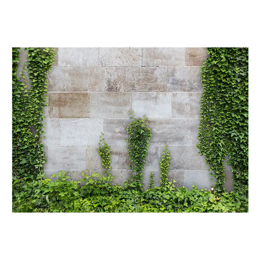 Fototapet Arkiio The Forgotten Garden