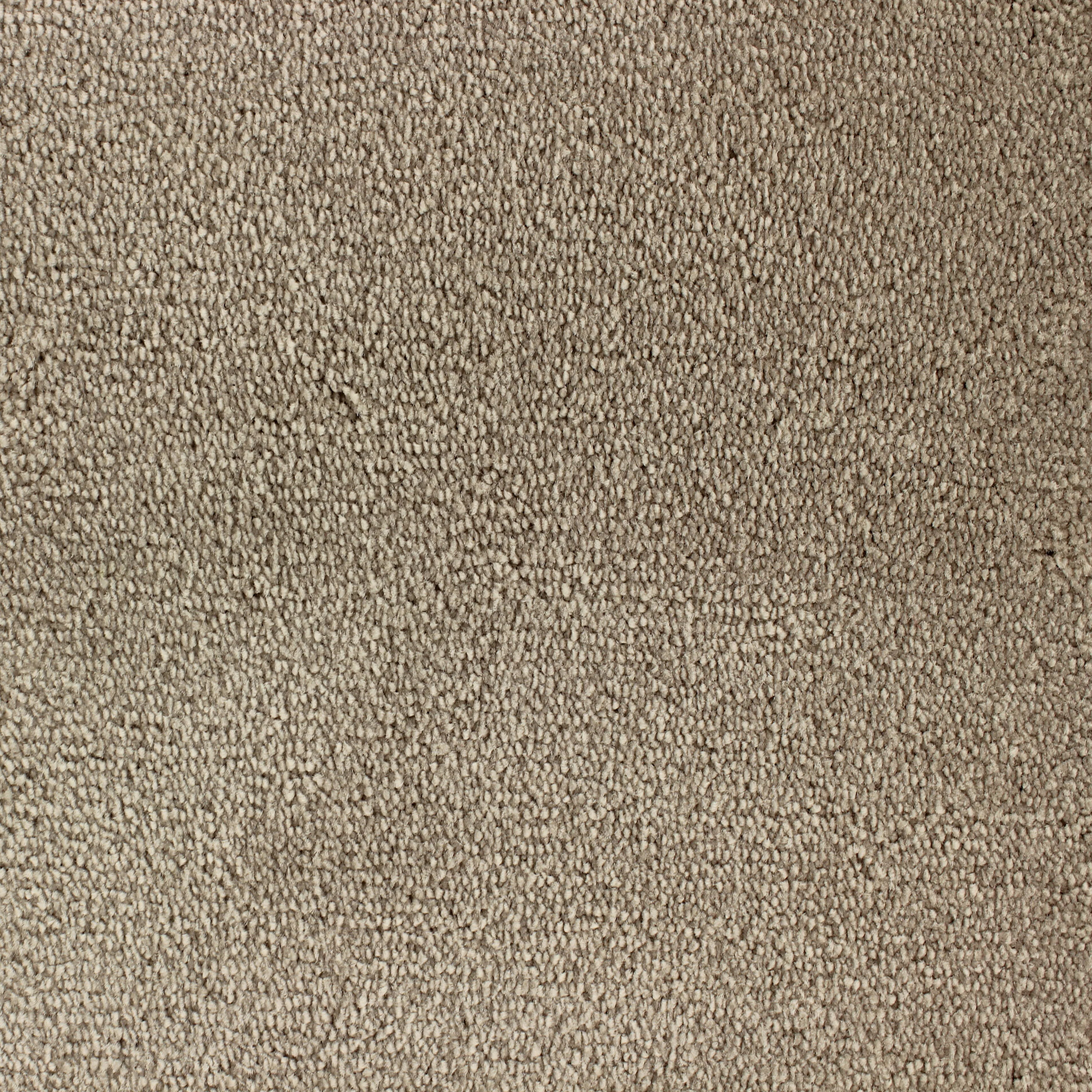 Beige/Grå