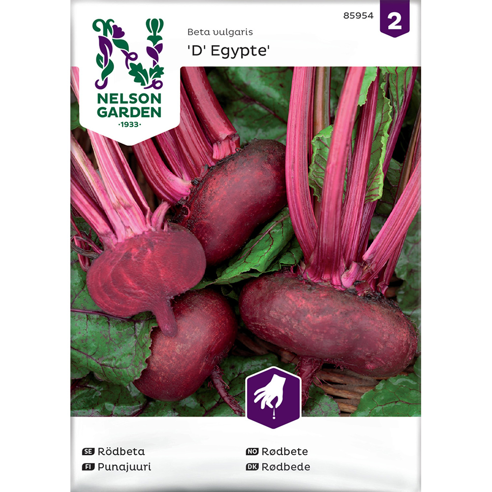Rödbeta Nelson Garden D' Egypte