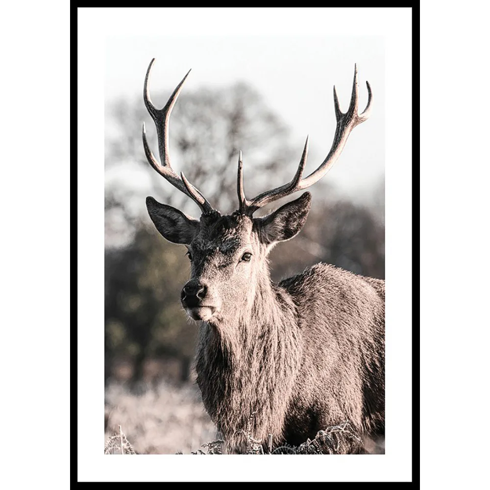 Poster Gallerix Deer Up Close