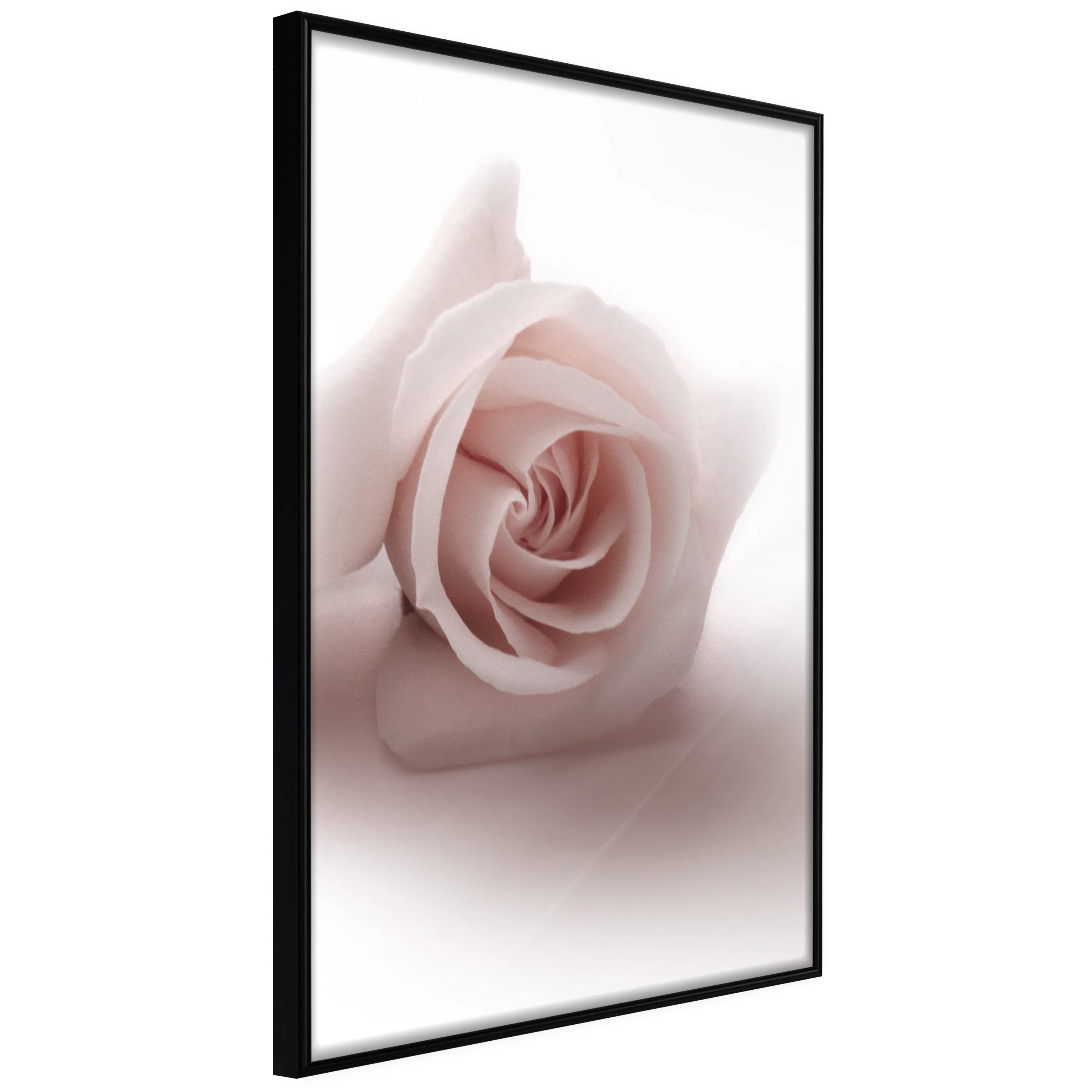 Poster Artgeist Affisch Rose Shadow