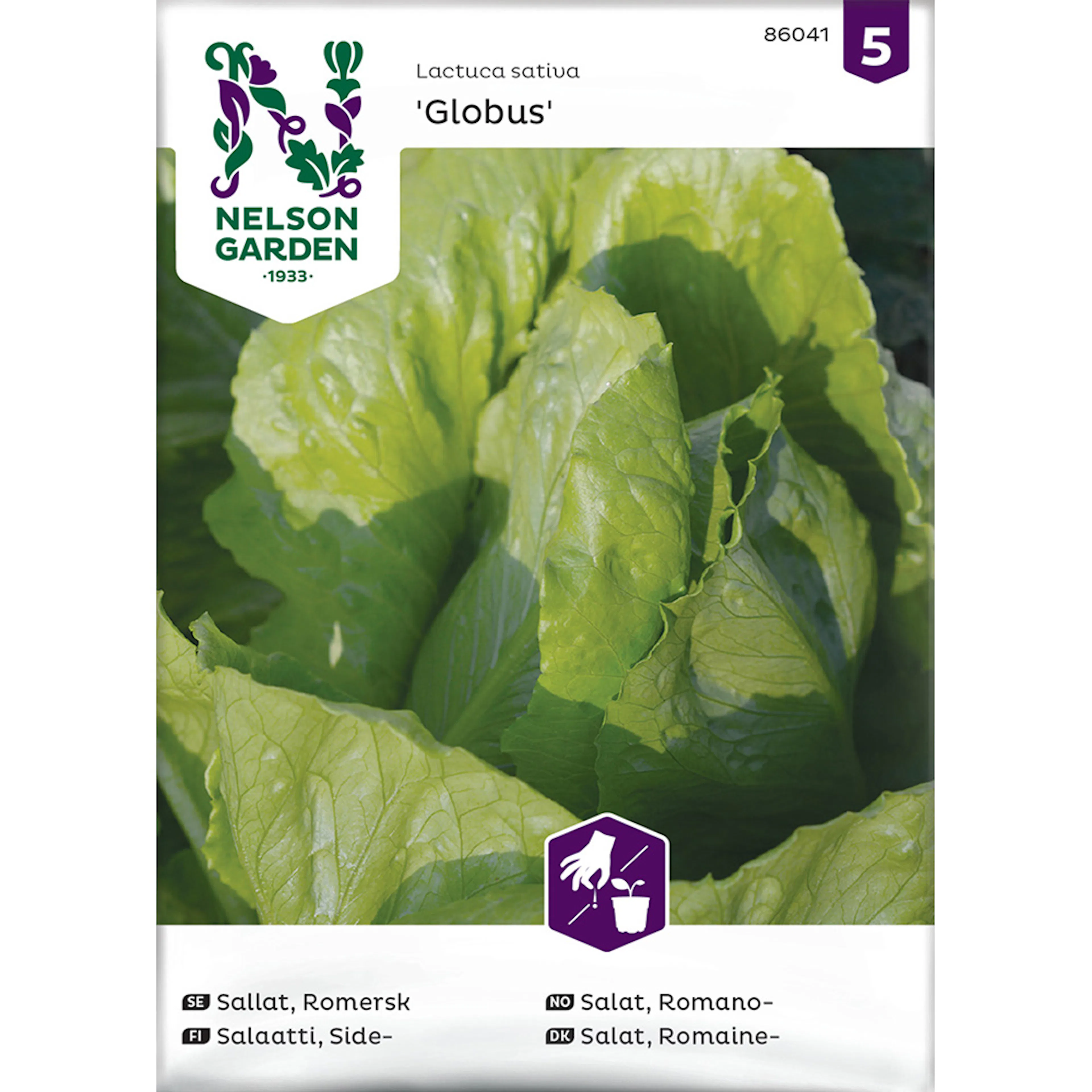 Frö Romersk Sallat Nelson Garden Globus