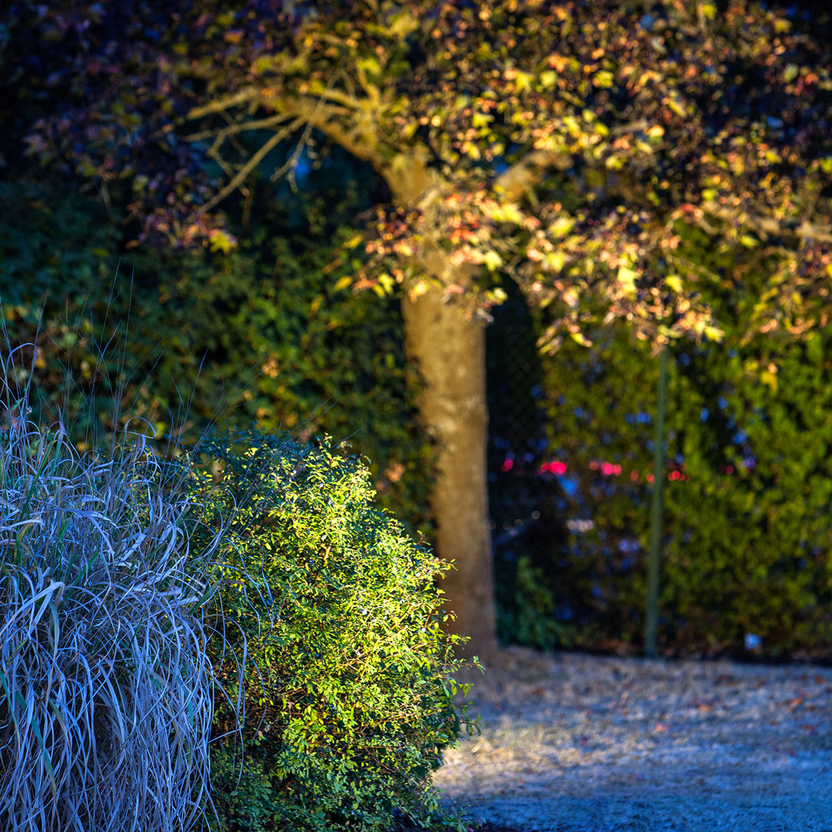 Däcksbelysning Heissner Smart Light 3W Varmvit