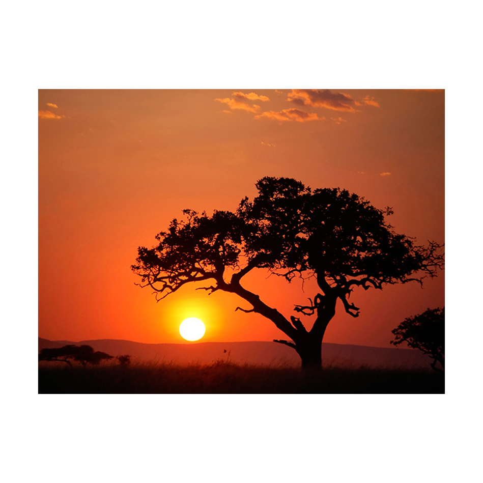 Fototapet Arkiio Afrika: Solnedgång