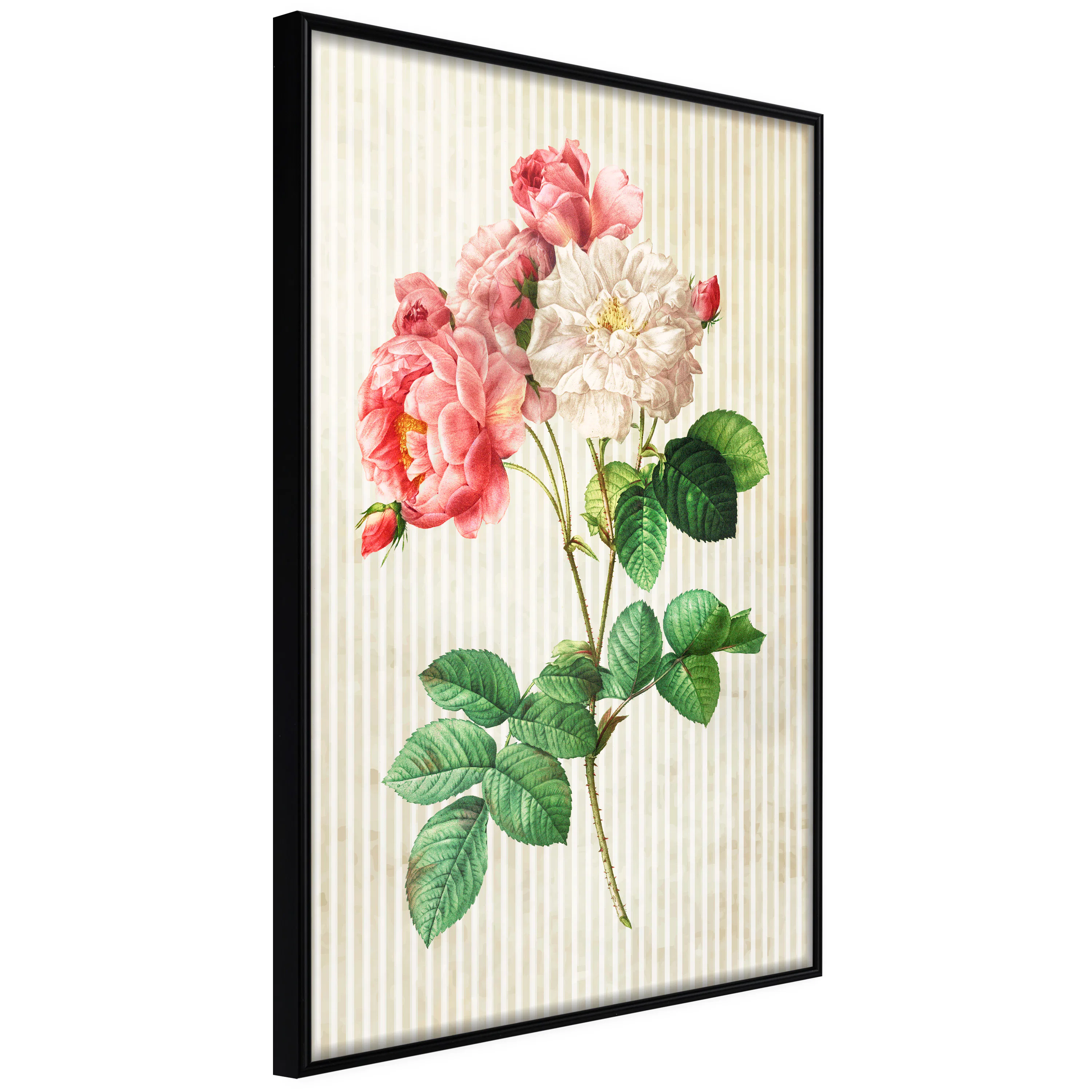 Poster Artgeist Affisch Heavenly Rose