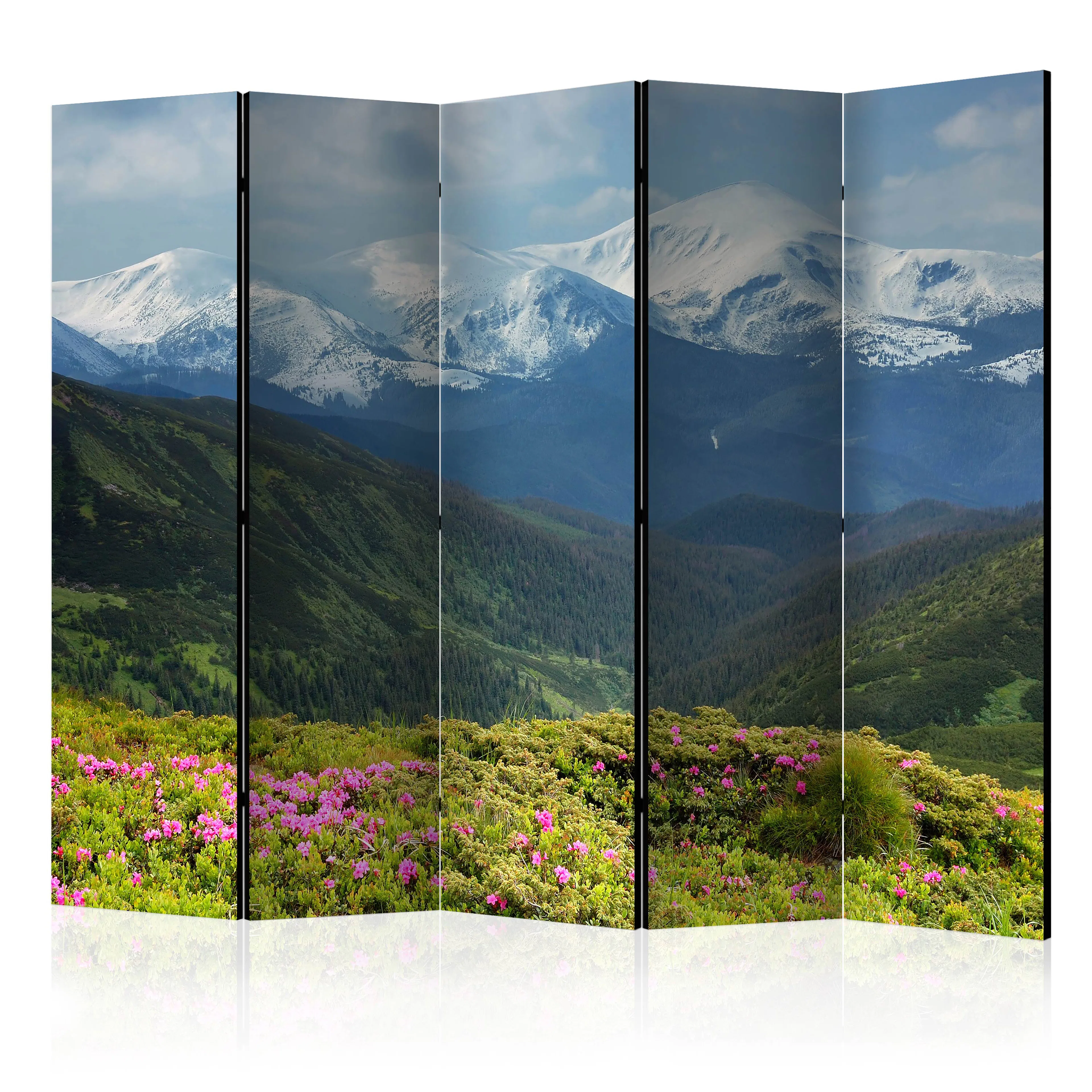 Rumsavdelare Arkiio Spring Mountain Landscape II 225x172 cm