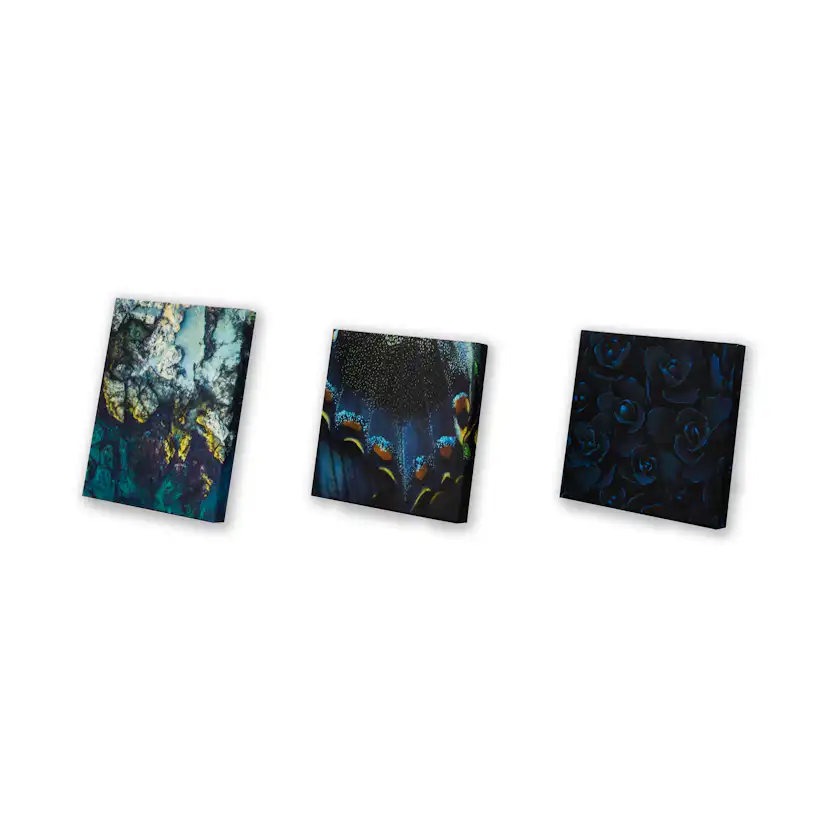 Canvastavla Art For The Home Set av 5 Classic Chique Mystisk 80x60cm