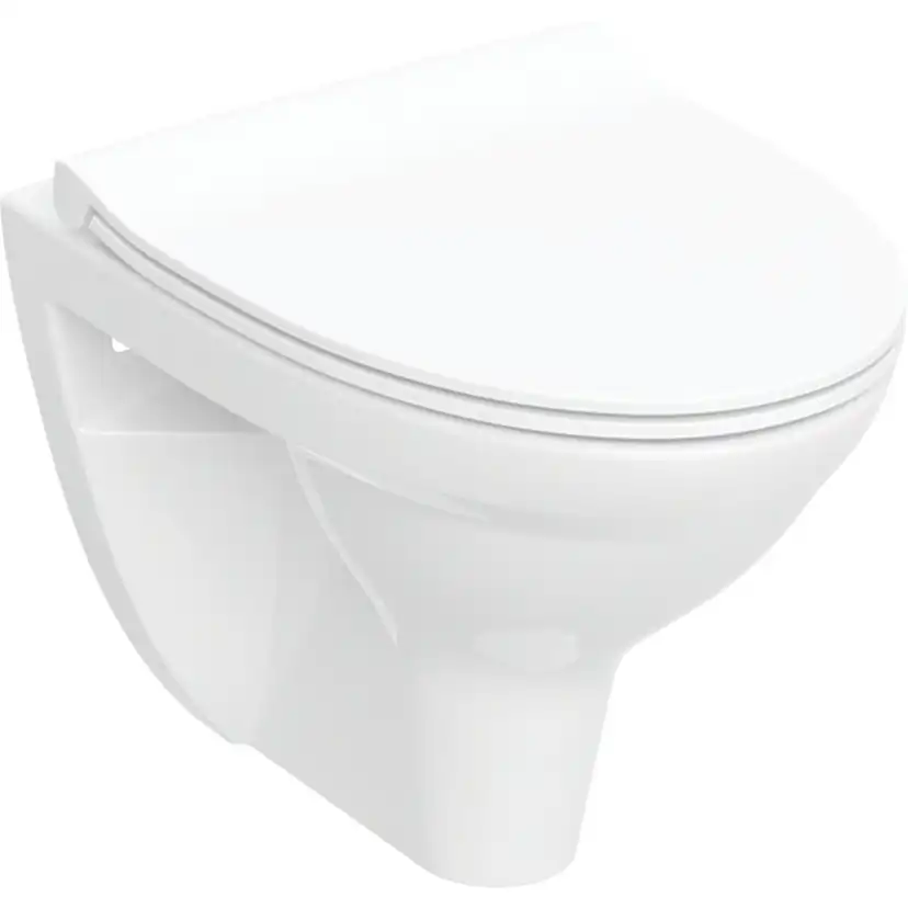 Vägghängd Toalettstol Ifö Spira Classic Rimfree