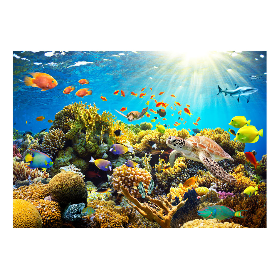 Fototapet Arkiio Underwater Land 450x315 cm