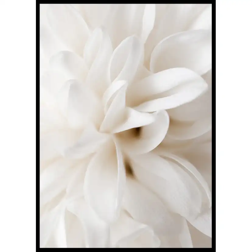 Poster Gallerix Boho Flowers No2