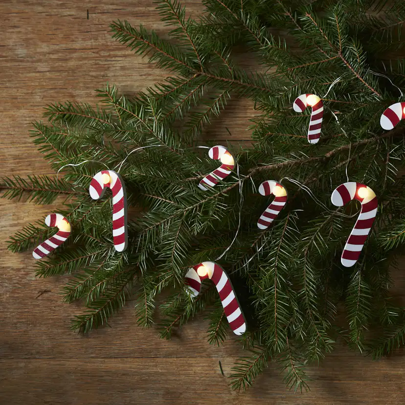 Ljusslinga Star Trading CandyCane