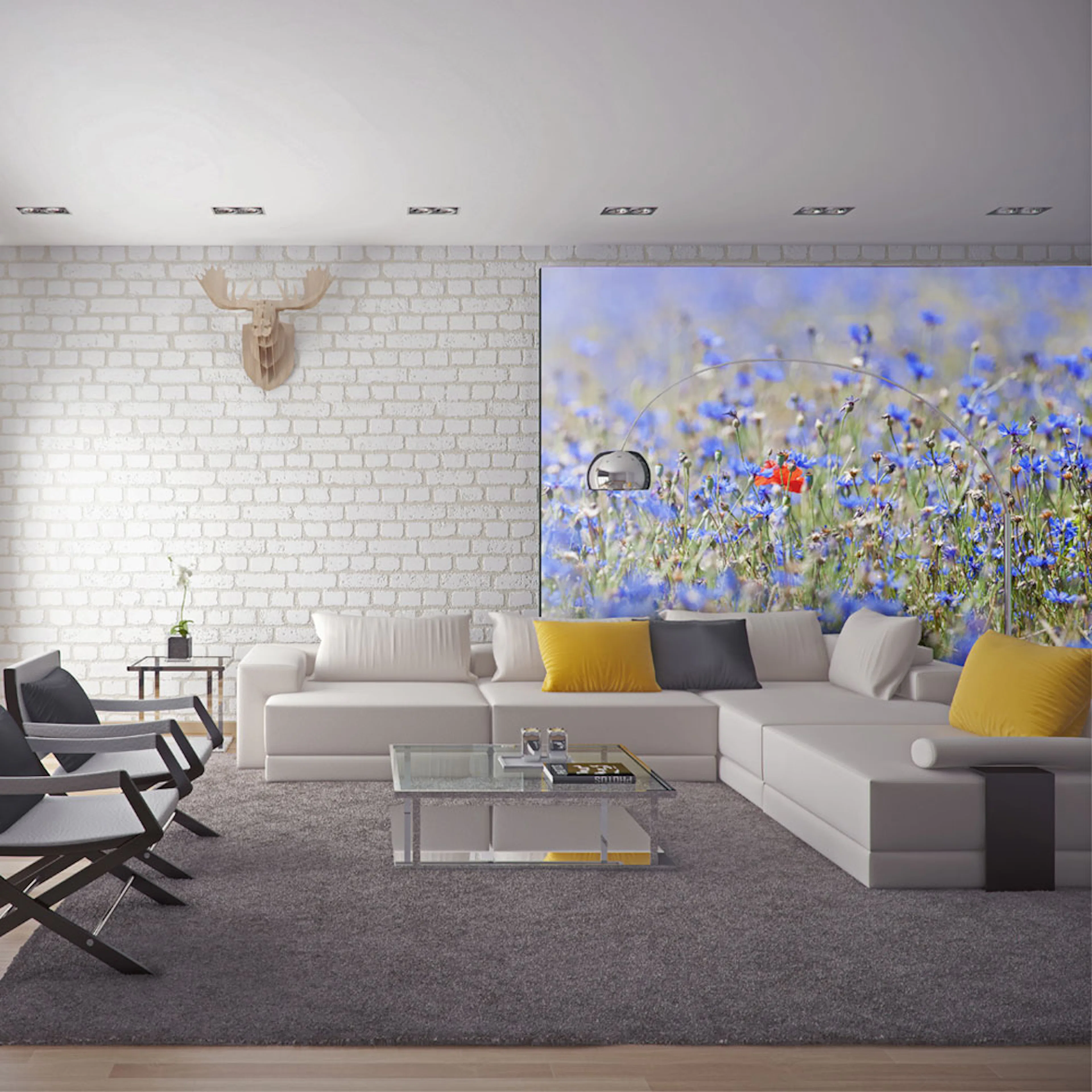 Fototapet Arkiio En Sky Färgad Äng Cornflowers