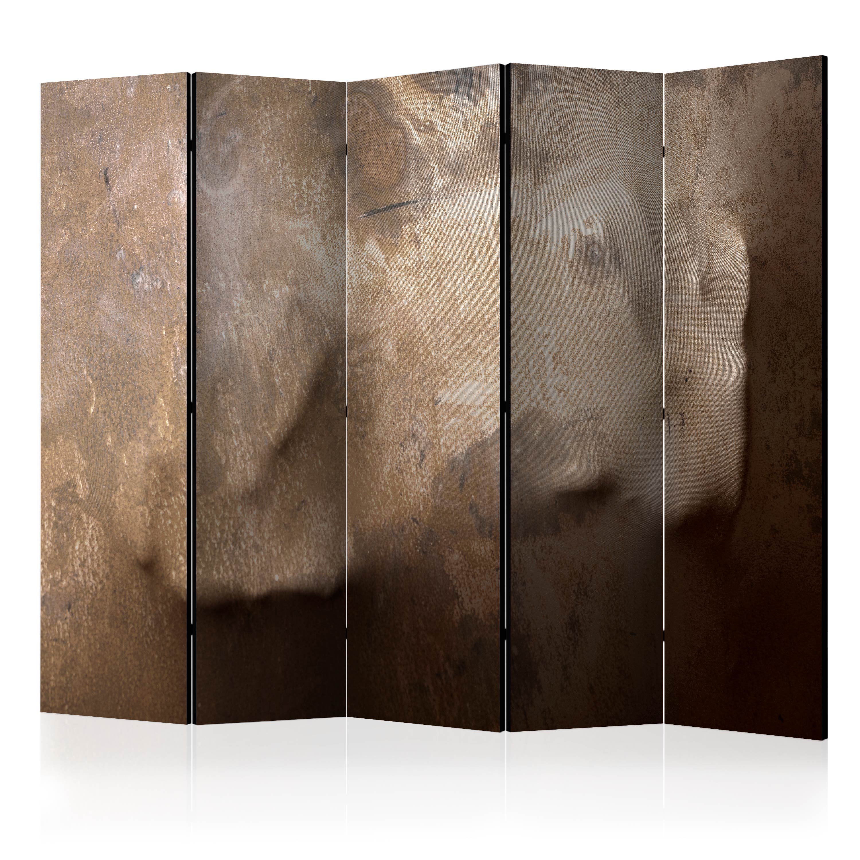 Rumsavdelare Arkiio The warmth of your Hand II 225x172 cm