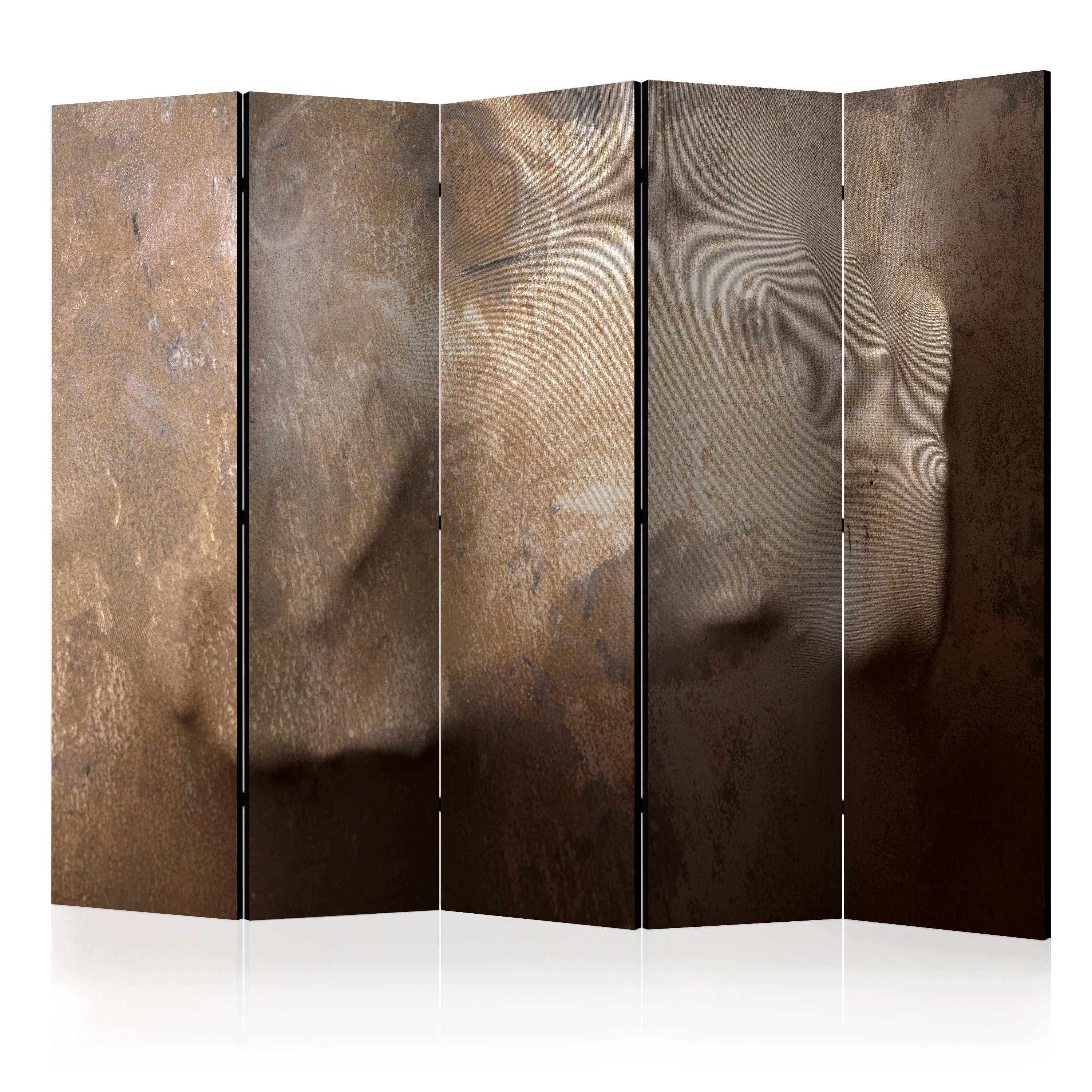 Rumsavdelare Arkiio The warmth of your Hand II 225x172 cm