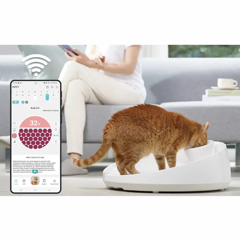 Kattvåg Våg Inpet CV1