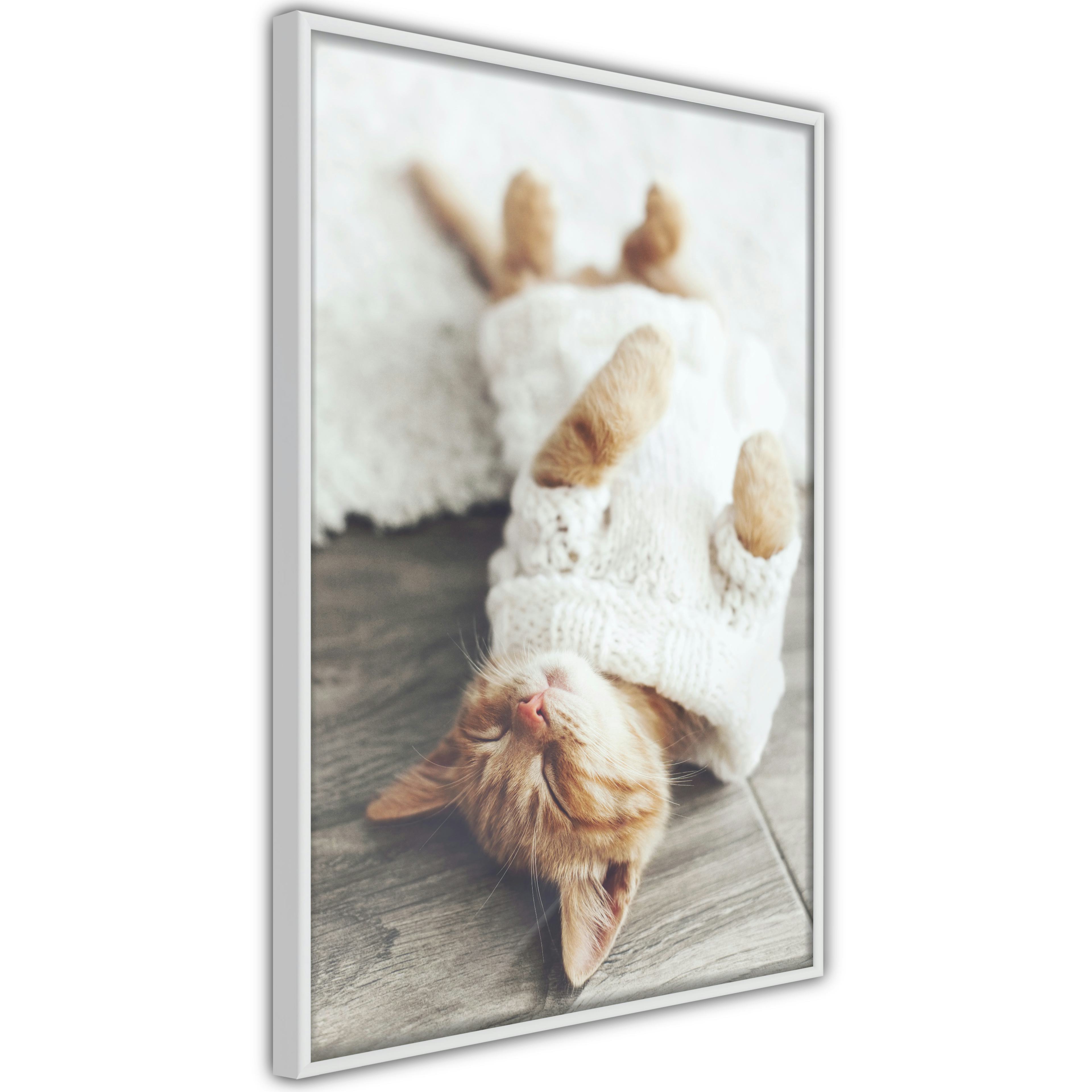 Poster Artgeist Affisch Lazy Cat