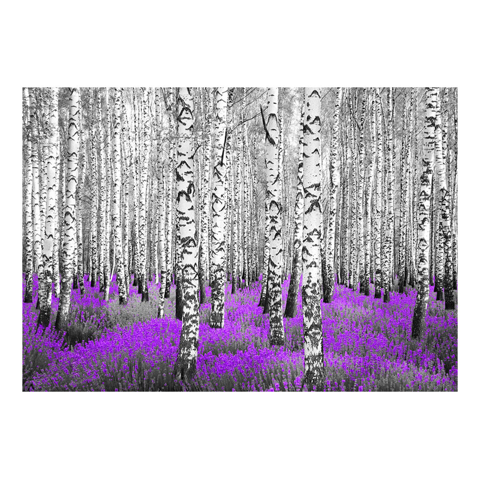 Fototapet Arkiio Purple Asylum