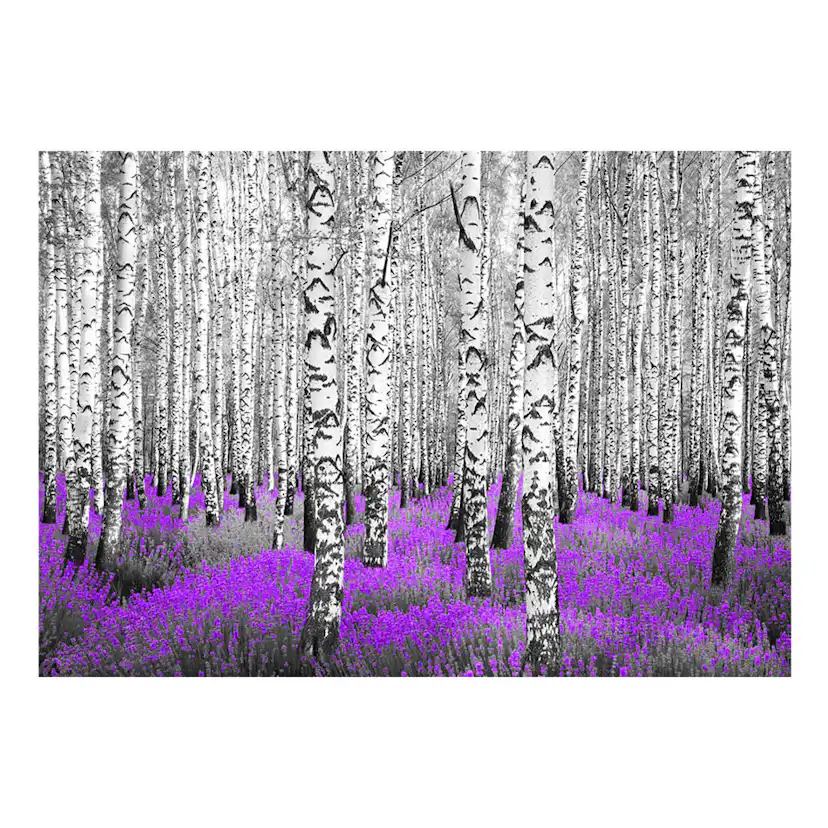 Fototapet Arkiio Purple Asylum