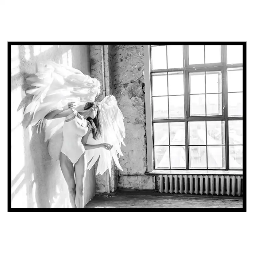 Poster Gallerix White Wings No2