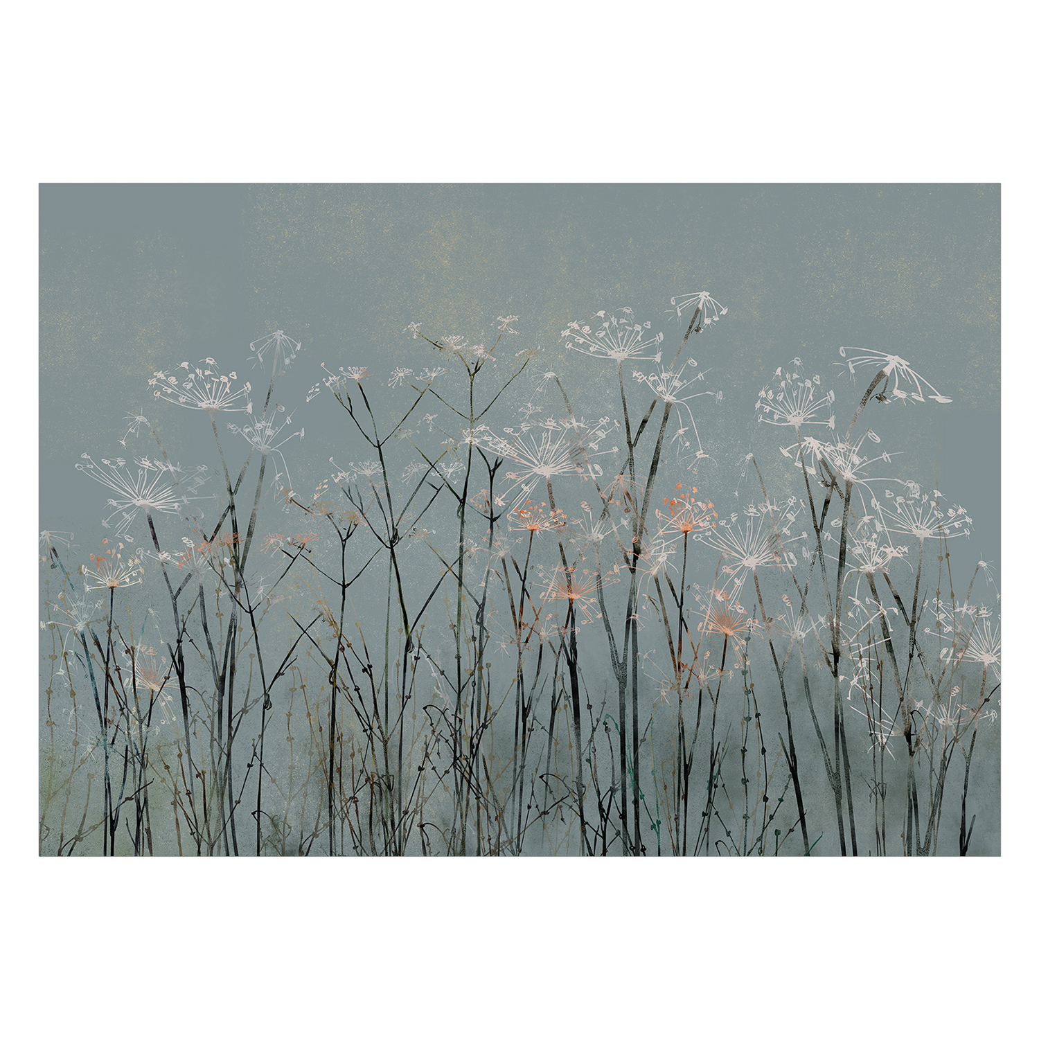Fototapet Arkiio Garlic Flowers
