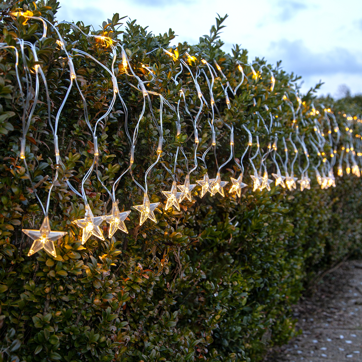 Ljusnät Star Trading Starnet LED 4,8m