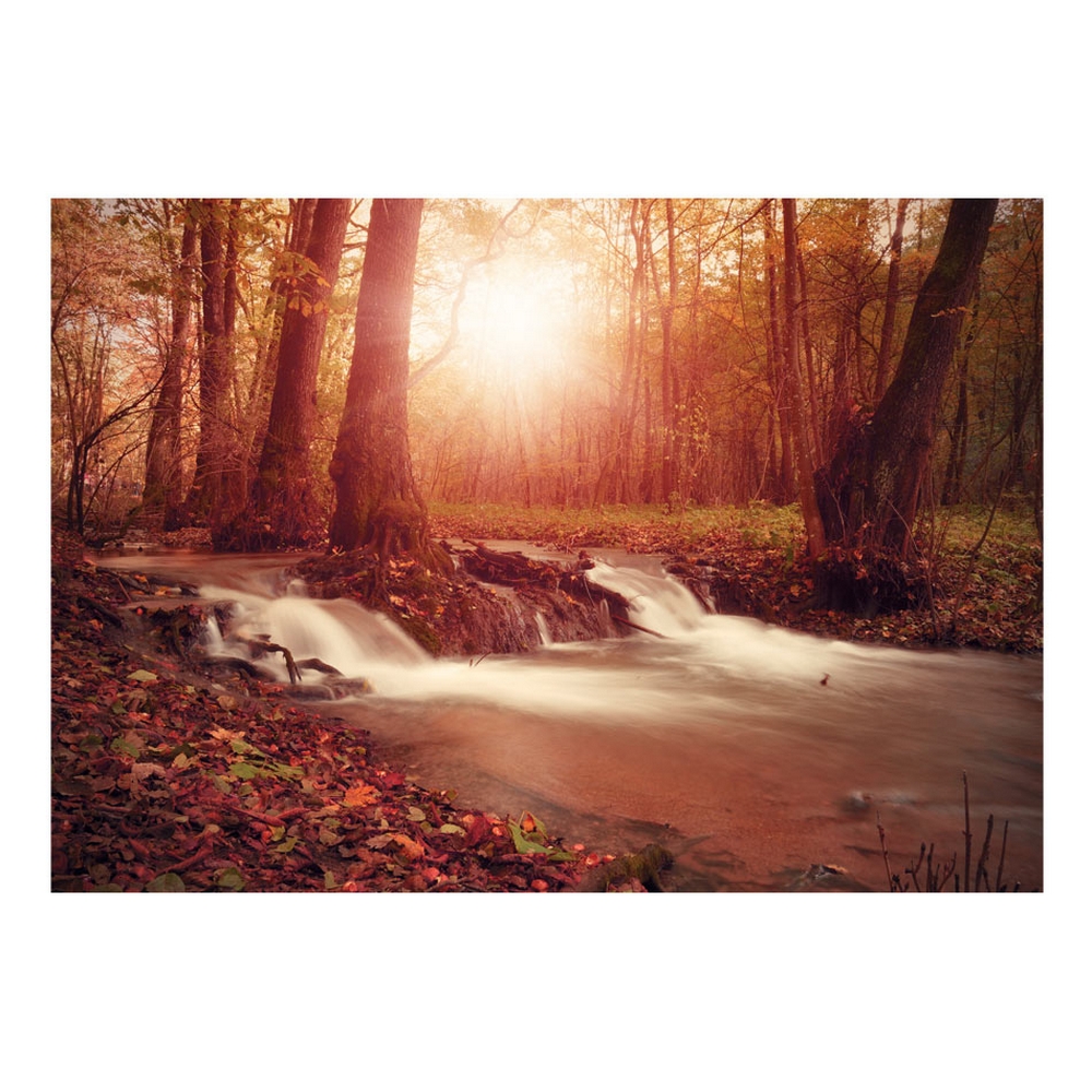 Fototapet Arkiio Självhäftande Autumn Dreaminess