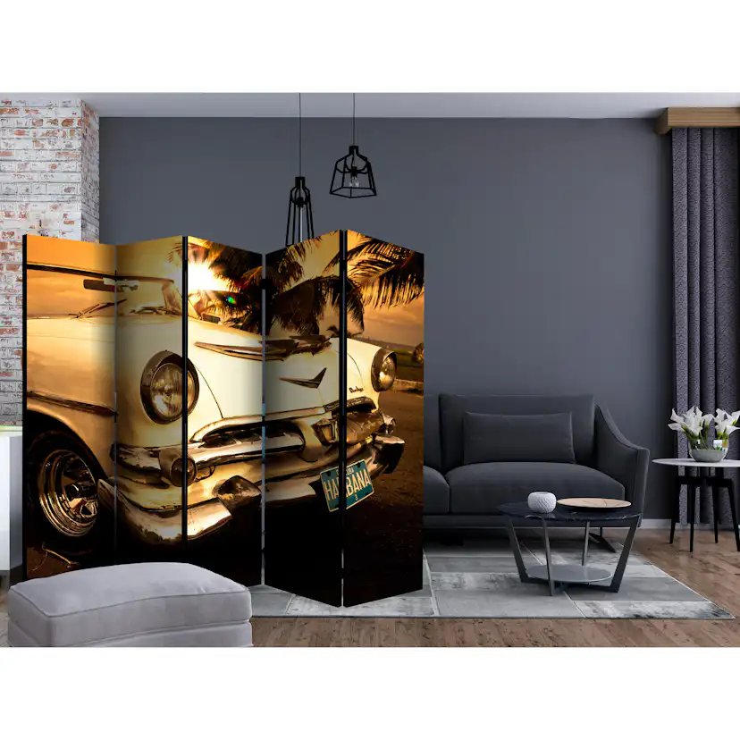 Rumsavdelare Arkiio Viva Havana! II 225x172 cm