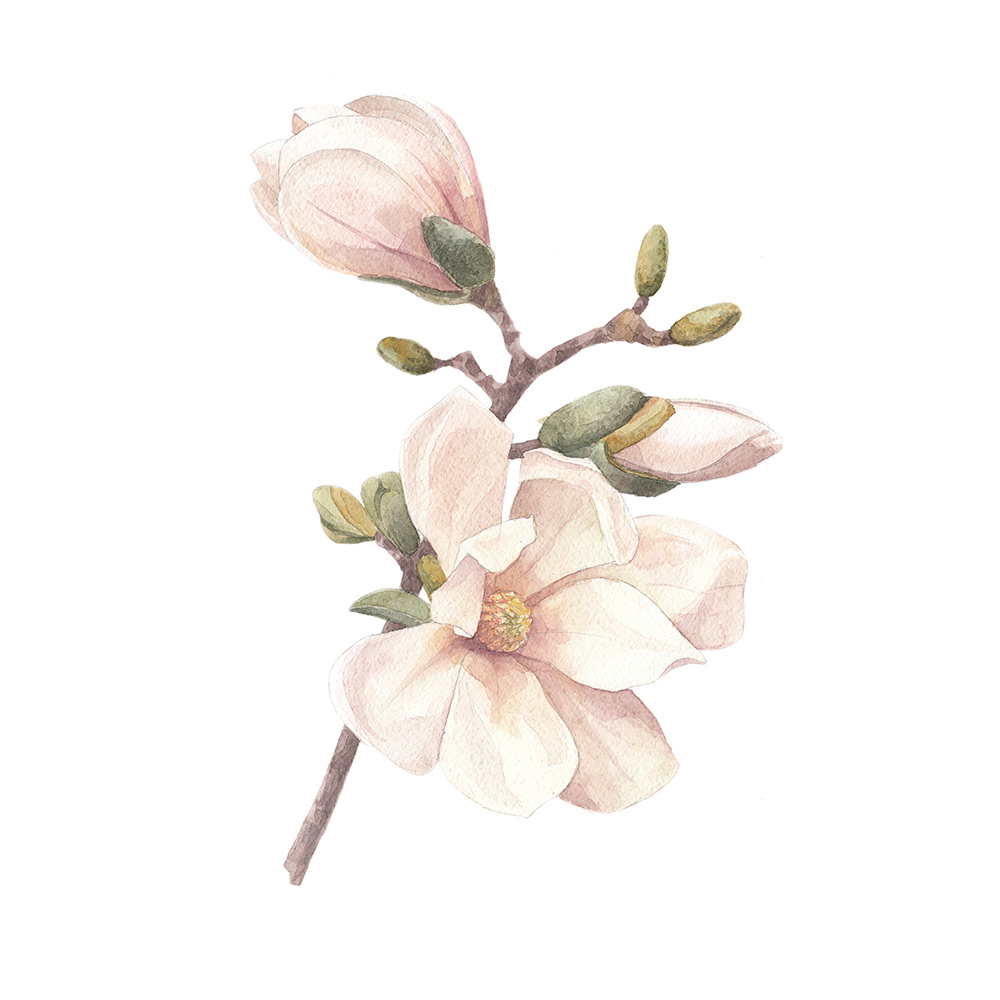 Posters Venture Home Hand Made 50x70 Rosa/vit