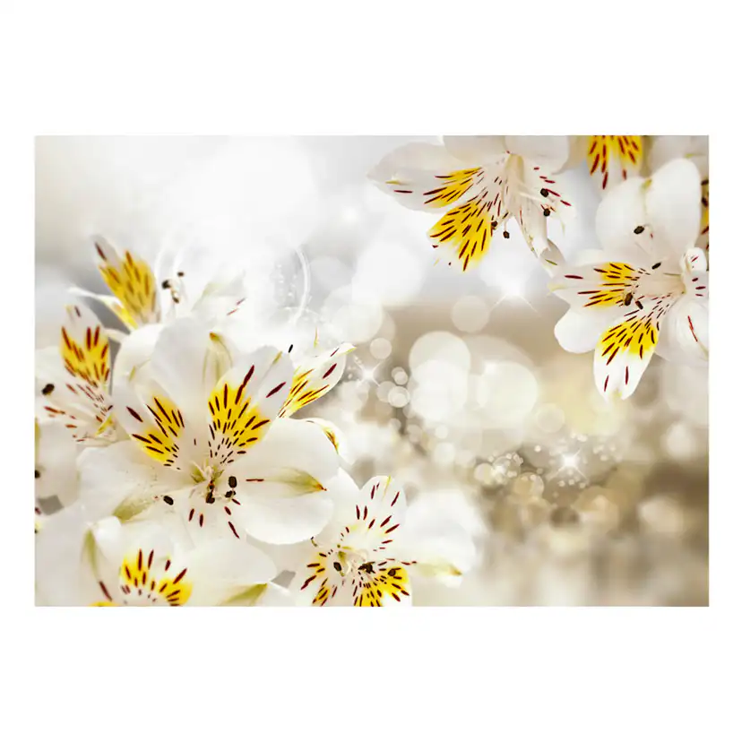 Fototapet Arkiio Sunny Alstroemeria