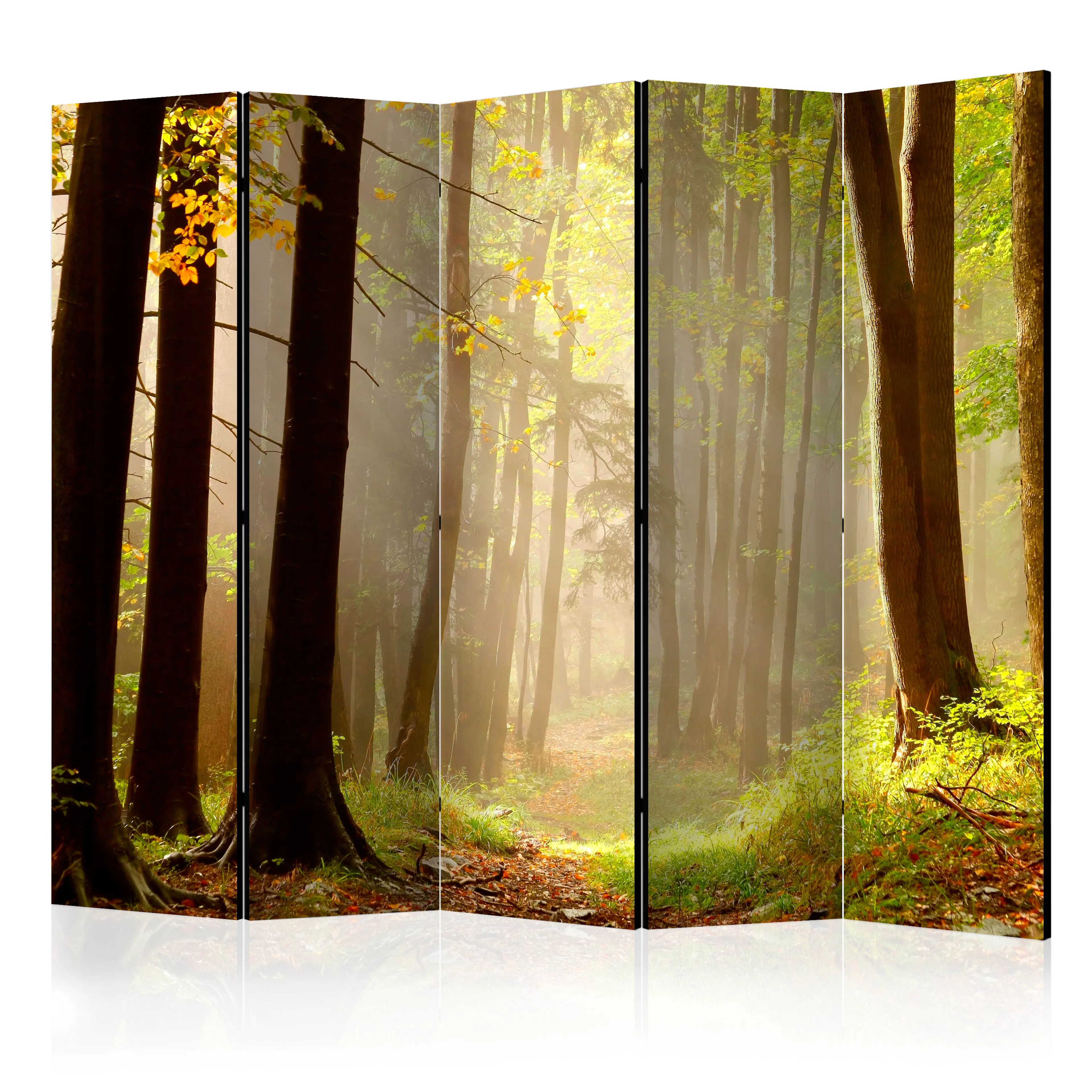 Rumsavdelare Arkiio Mysterious Forest Path II 225x172 cm