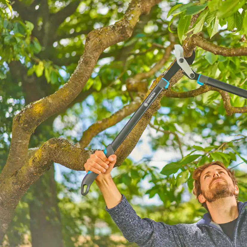 Grensax Gardena EnergyCut Pro L