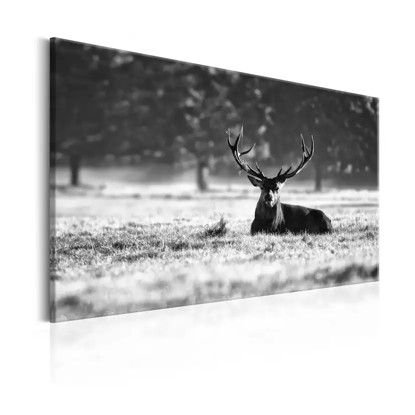 Tavla Arkiio Lying Deer