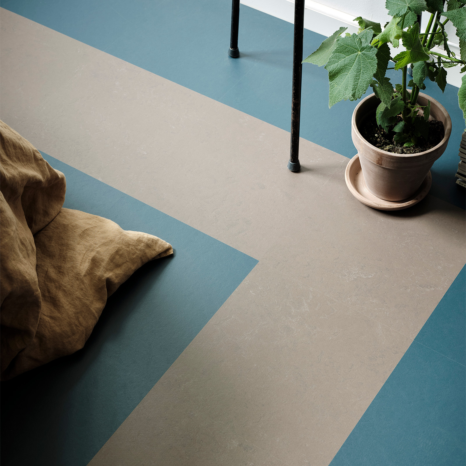 Linoleumgolv Forbo Marmoleum Click Delta Lace 60x30 cm