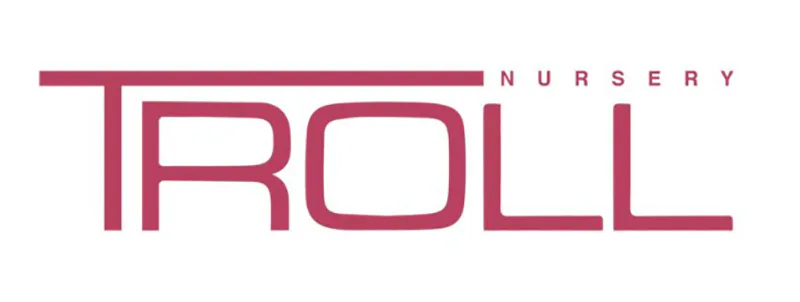 Troll logo