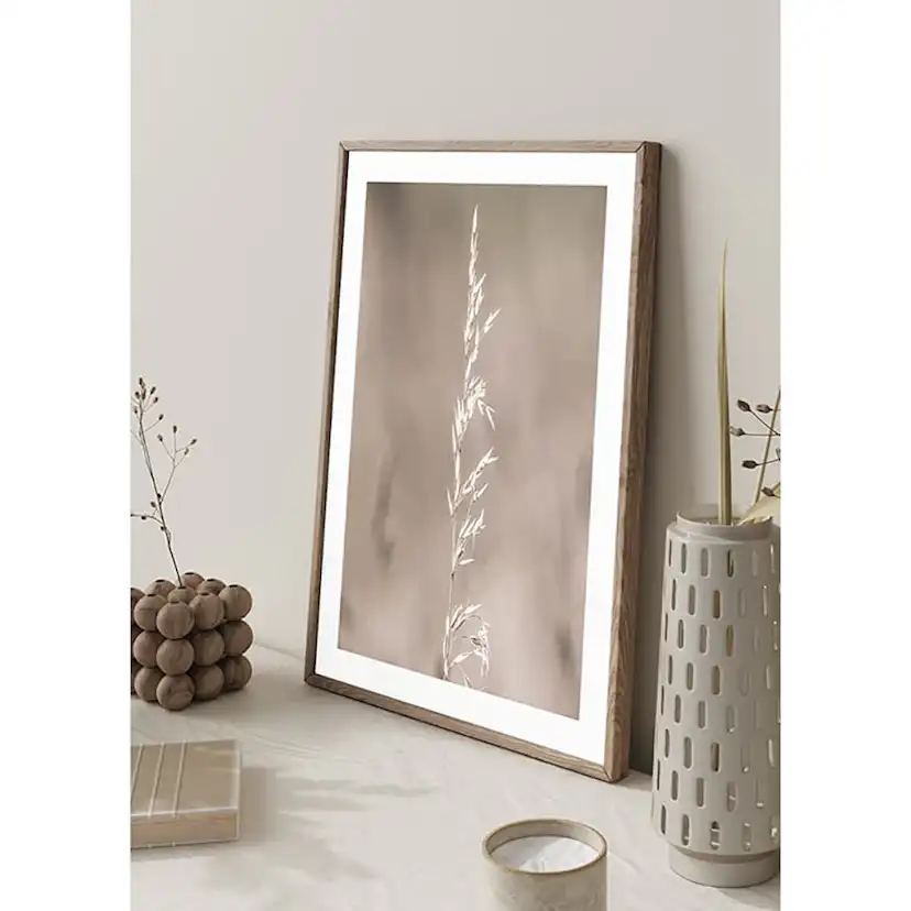 Poster Gallerix Boho Dried In Nature No4