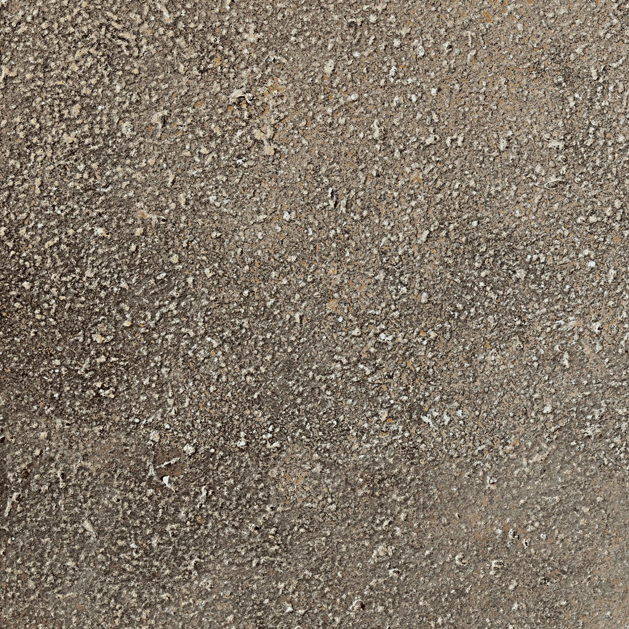 Klinker Lhådös Roma Mineral 20x40