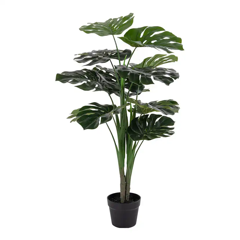 Konstväxt House Nordic Monstera