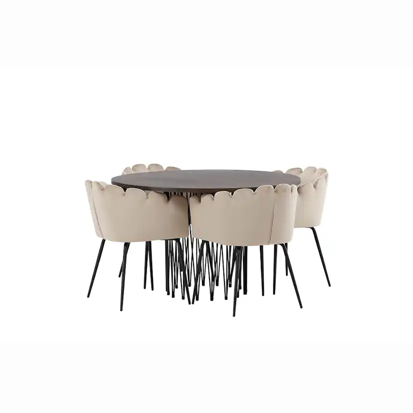 Matgrupp furniture/fashion Stone med 4 Limhamn Stolar Runt