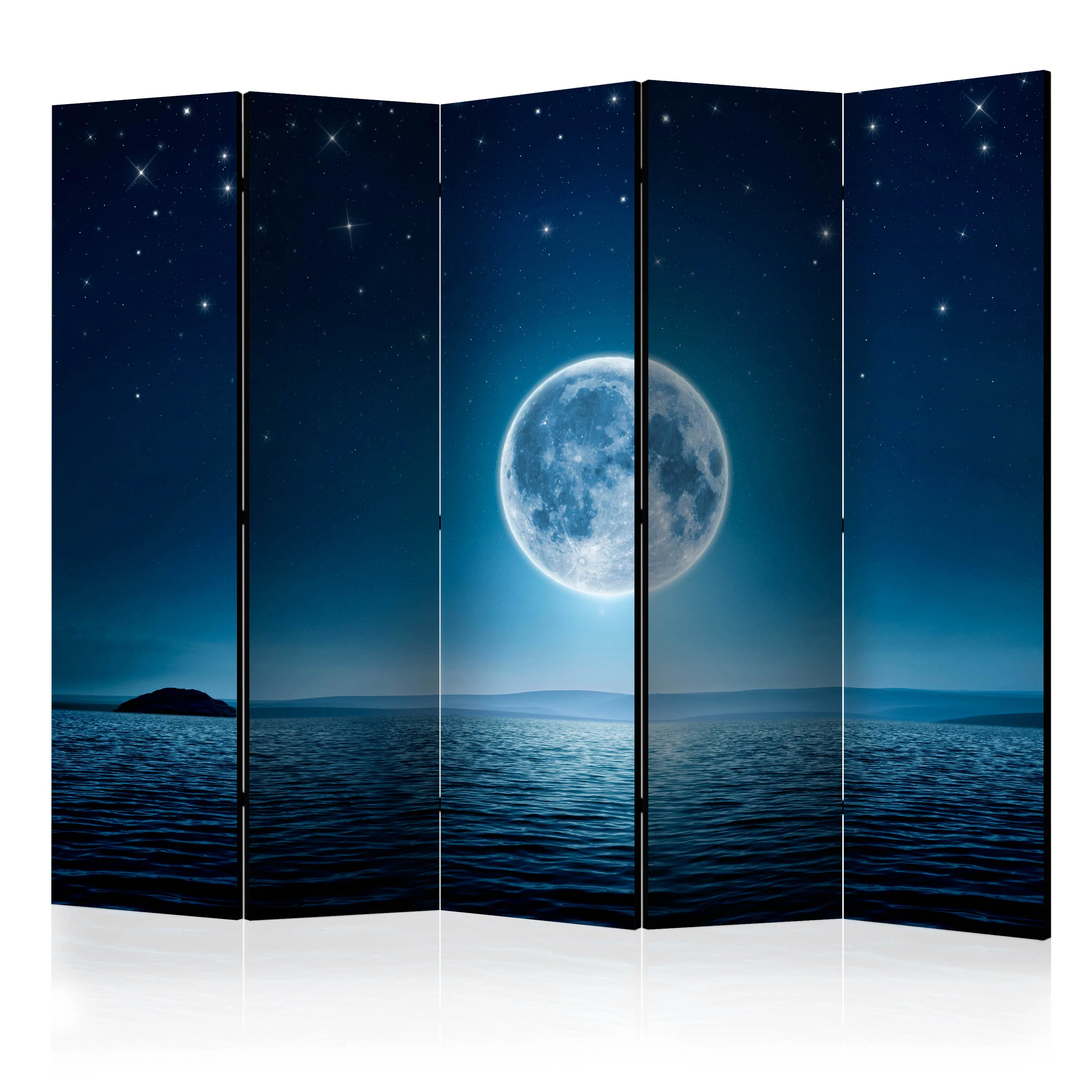 Rumsavdelare Arkiio Moonlit Night II 225x172 cm