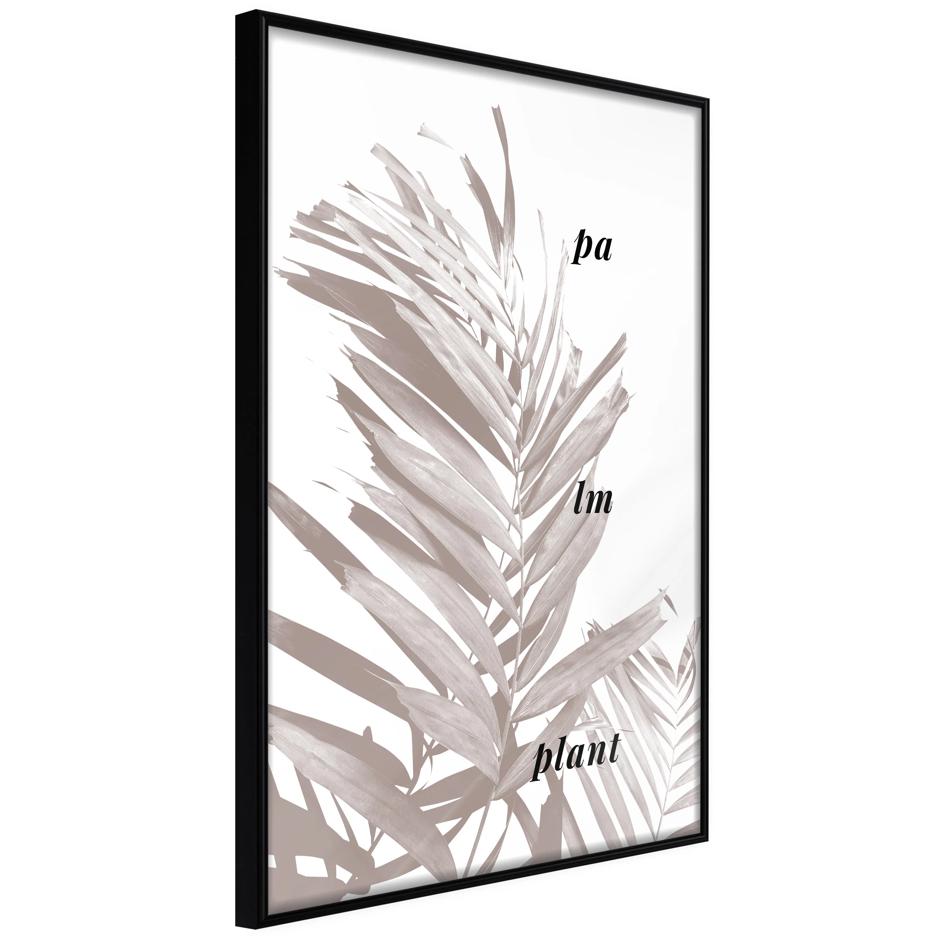 Poster Artgeist Affisch Palm Plant