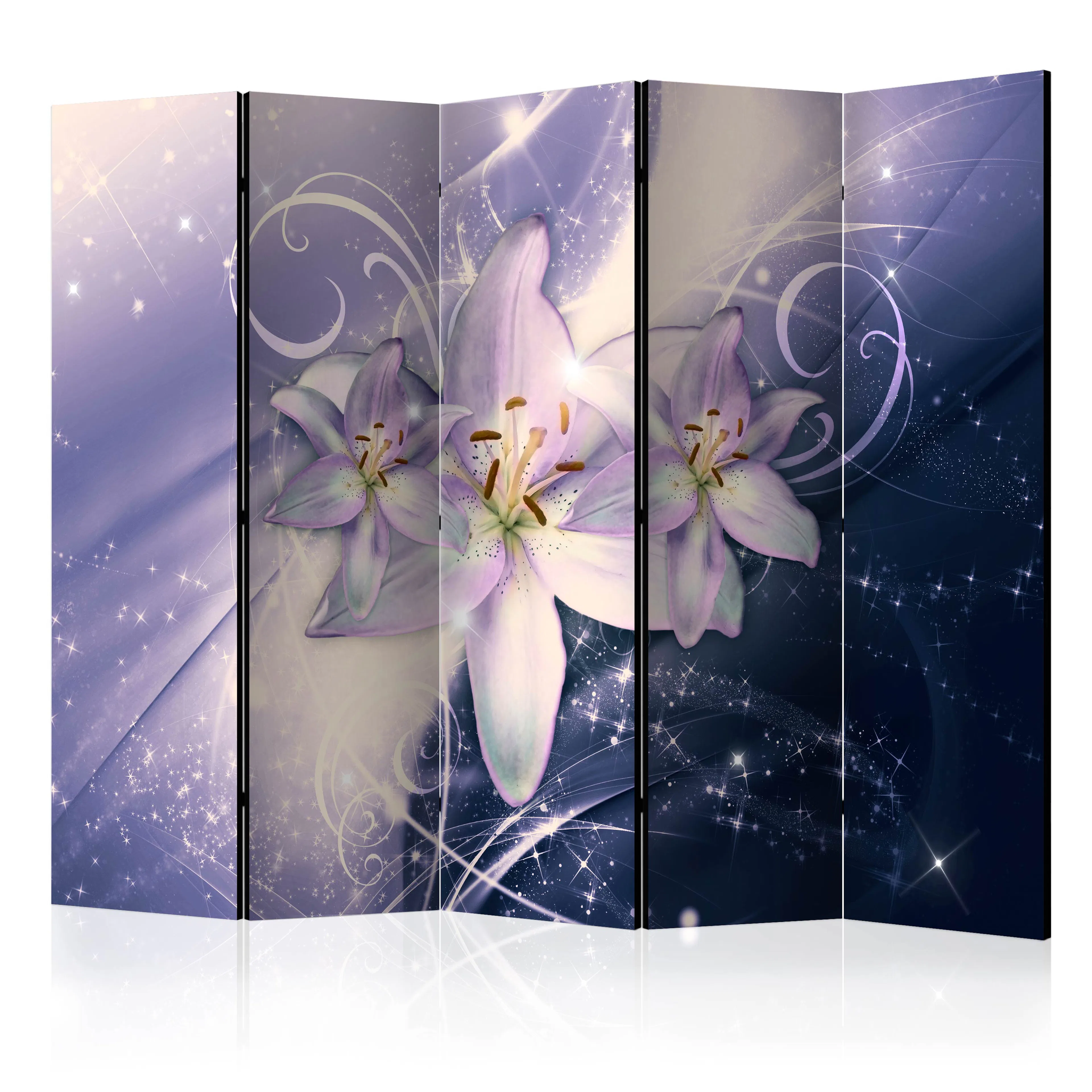 Rumsavdelare Arkiio Wintry Galaxy II 225x172 cm