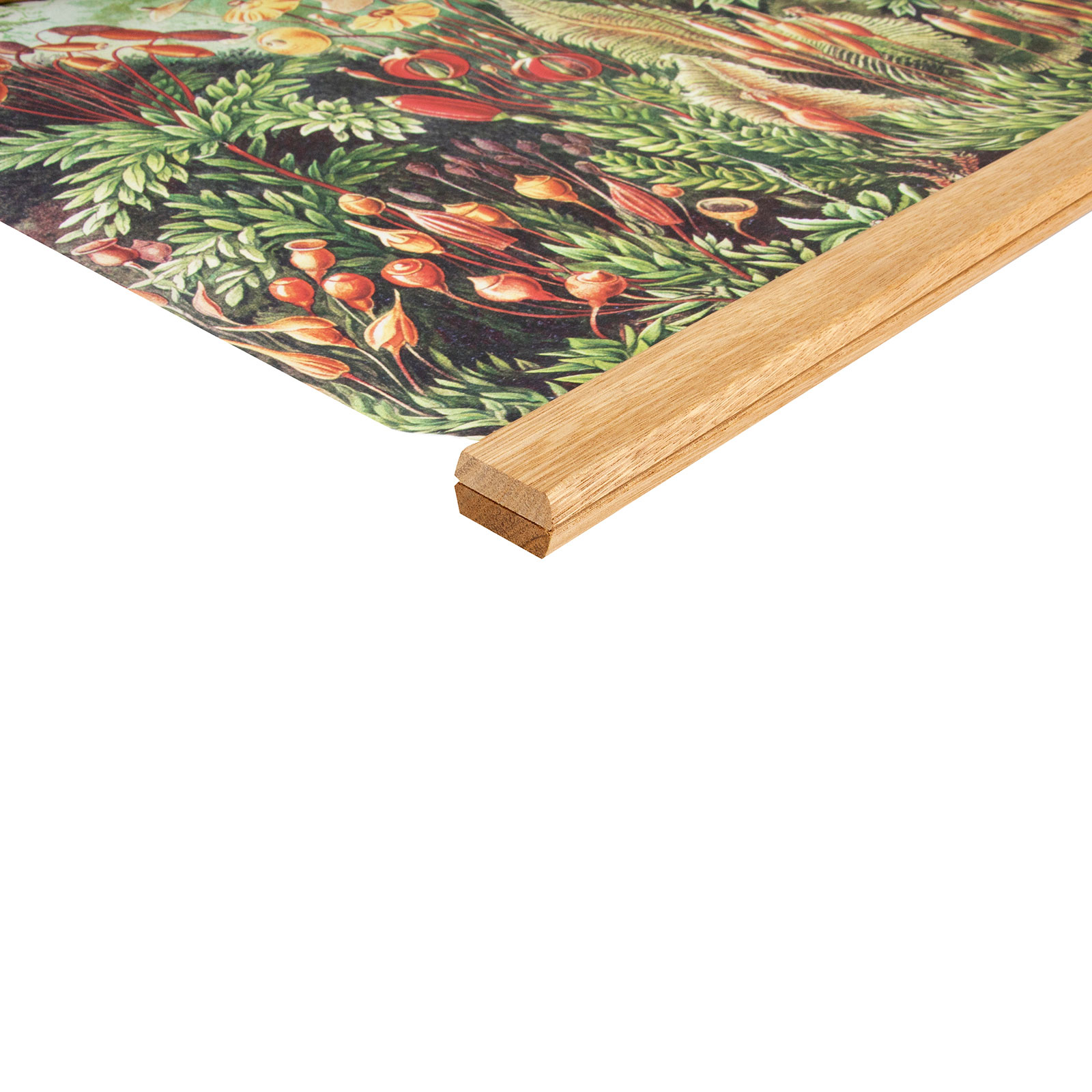 Hängande Affisch Art for the Home Forest 80x60