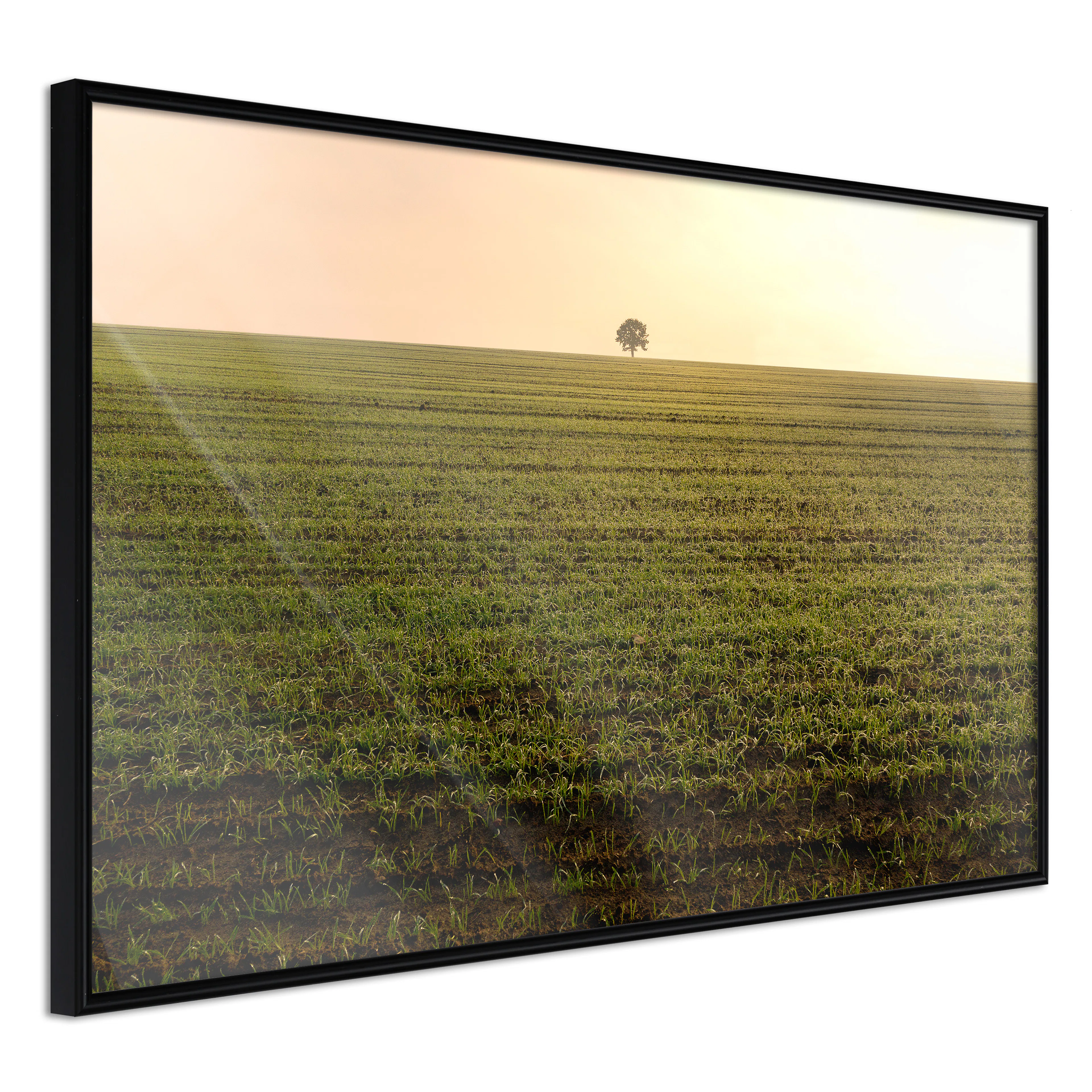 Poster Artgeist Affisch Autumn Morning