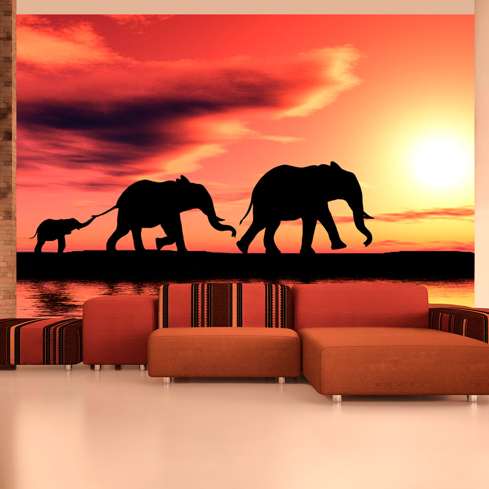 Fototapet Arkiio Elephants: Family