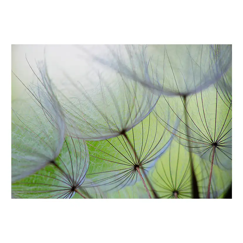 Fototapet Arkiio Fleeting Moments A3-SNEW010299-A