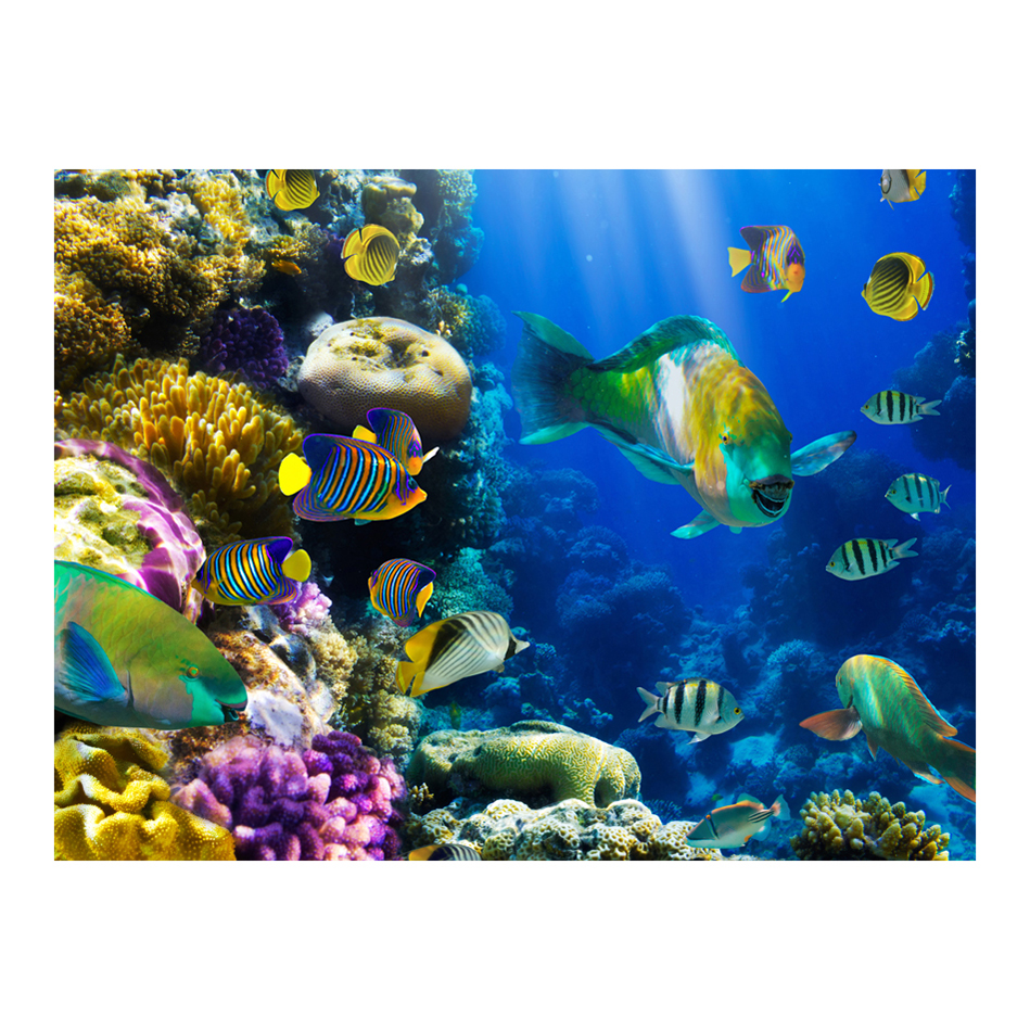 Fototapet Arkiio Underwater Paradis