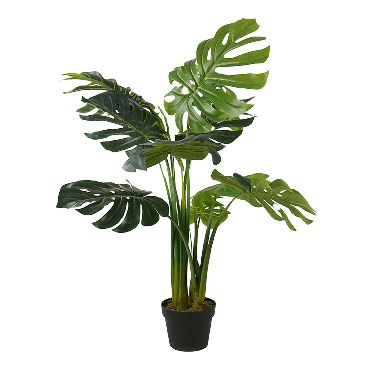 Konstväxt Lykke Monstera Plant