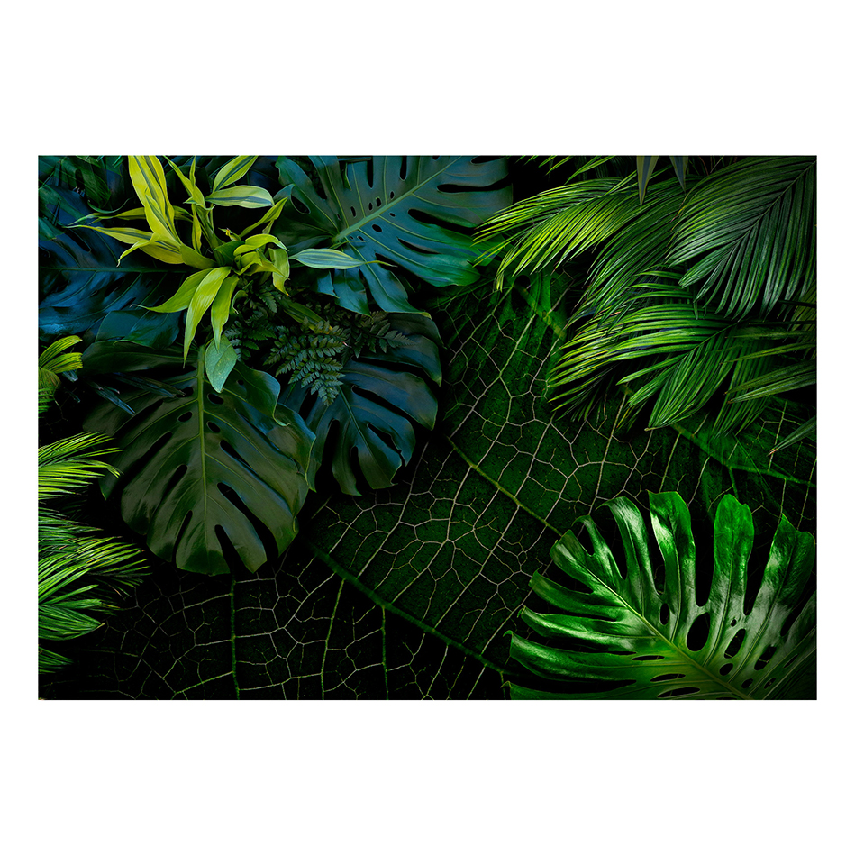 Fototapet Arkiio Dark Jungle